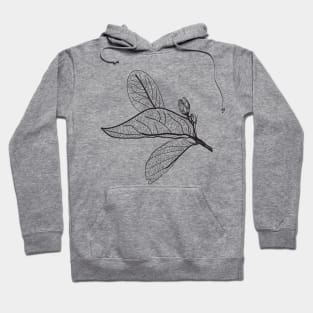 Leaves contours Hoodie